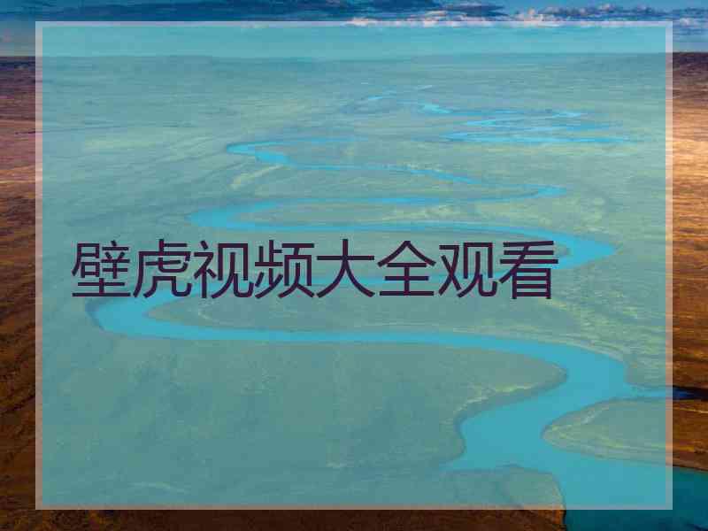 壁虎视频大全观看