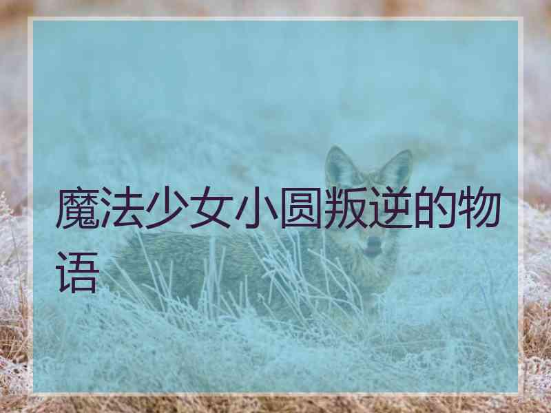 魔法少女小圆叛逆的物语