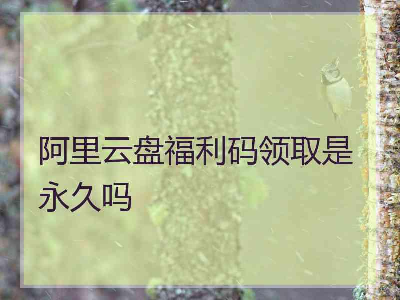 阿里云盘福利码领取是永久吗