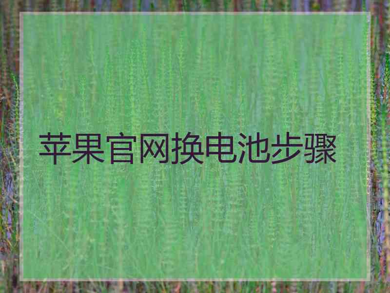 苹果官网换电池步骤