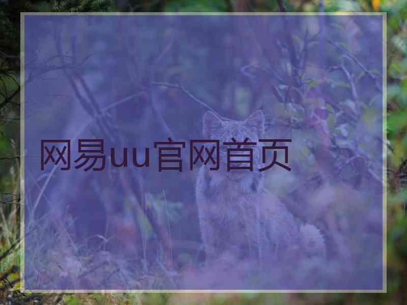 网易uu官网首页