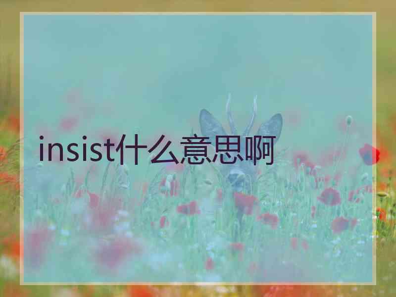 insist什么意思啊
