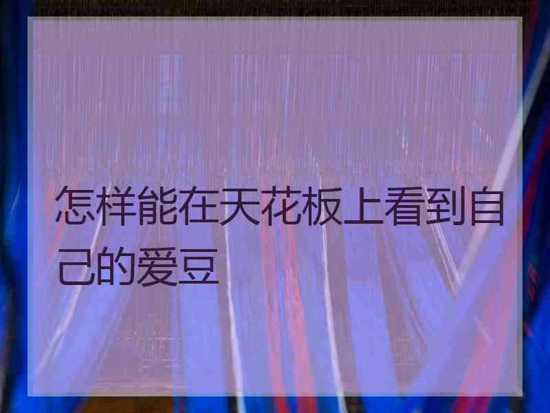 怎样能在天花板上看到自己的爱豆