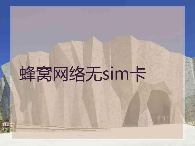 蜂窝网络无sim卡