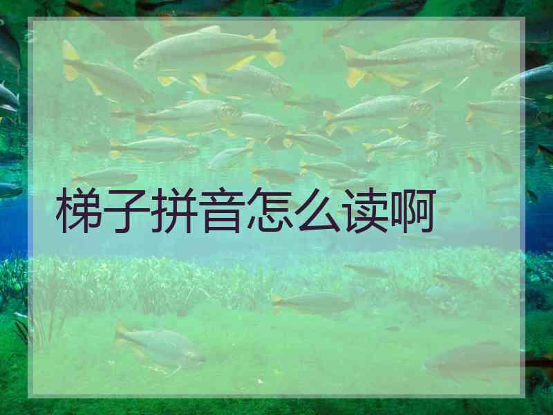 梯子拼音怎么读啊