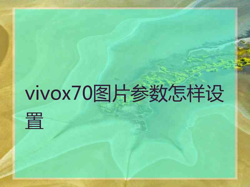 vivox70图片参数怎样设置