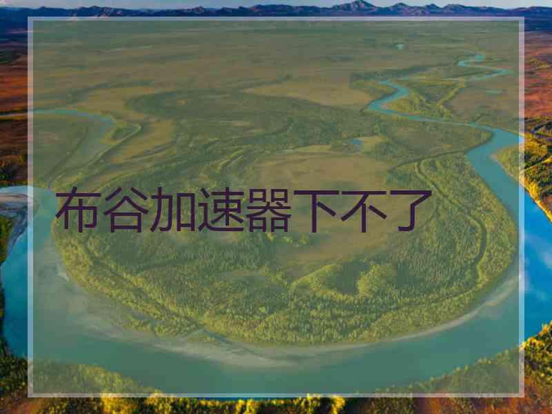布谷加速器下不了