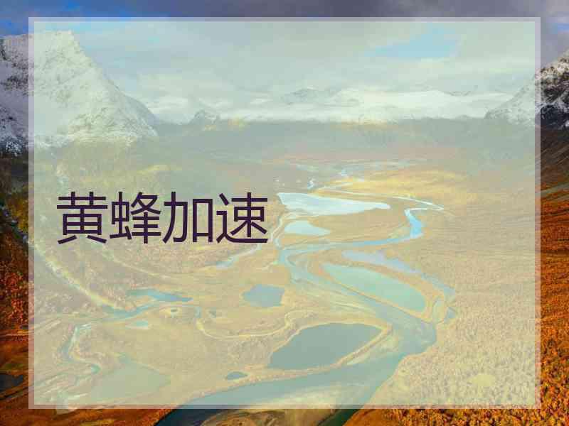 黄蜂加速