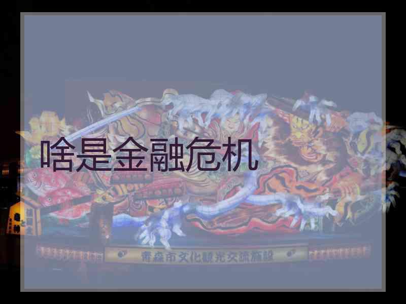 啥是金融危机