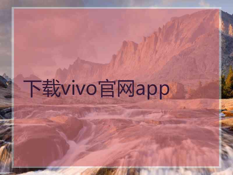 下载vivo官网app