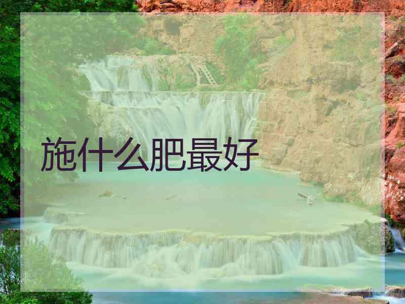 施什么肥最好