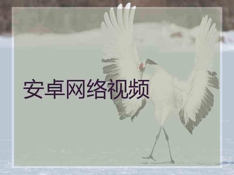 安卓网络视频