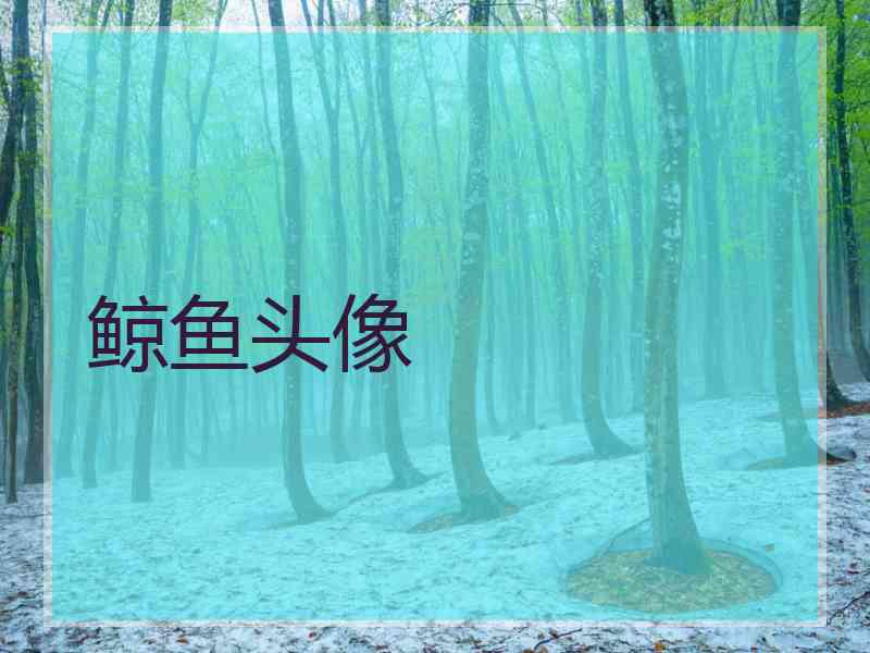 鲸鱼头像