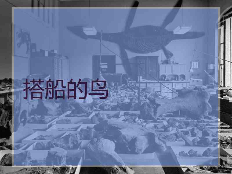 搭船的鸟