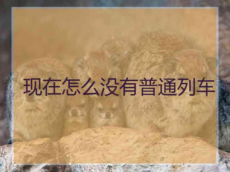 现在怎么没有普通列车