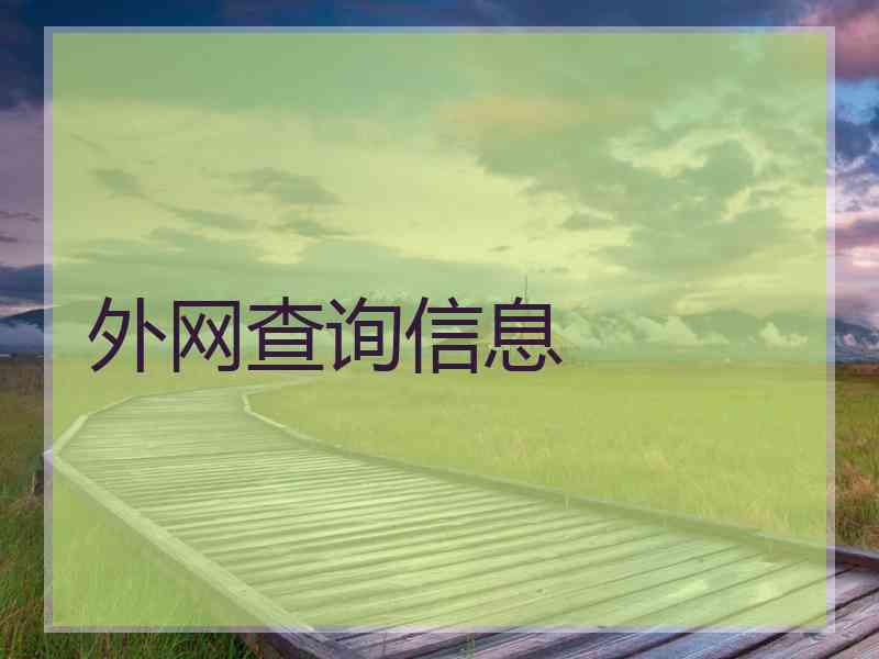 外网查询信息
