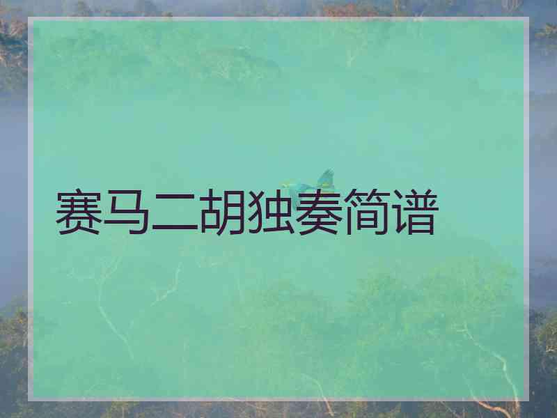 赛马二胡独奏简谱