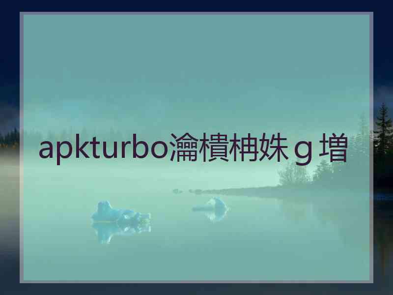 apkturbo瀹樻柟姝ｇ増