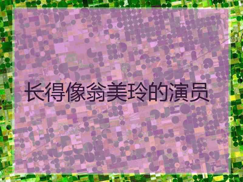 长得像翁美玲的演员