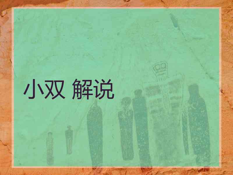 小双 解说