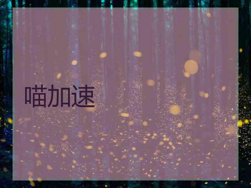 喵加速