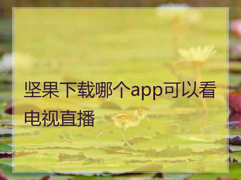 坚果下载哪个app可以看电视直播