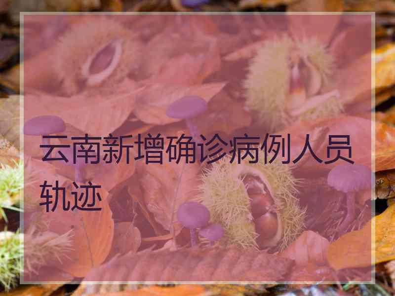 云南新增确诊病例人员轨迹