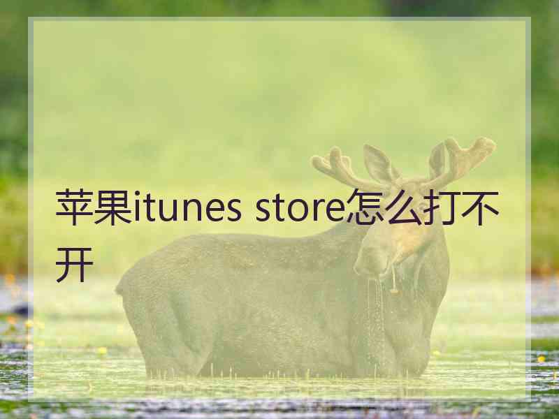 苹果itunes store怎么打不开
