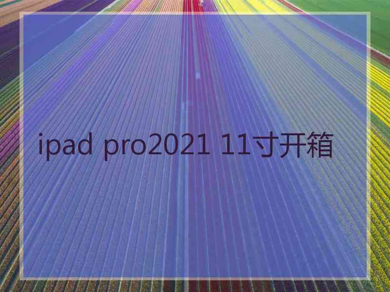 ipad pro2021 11寸开箱