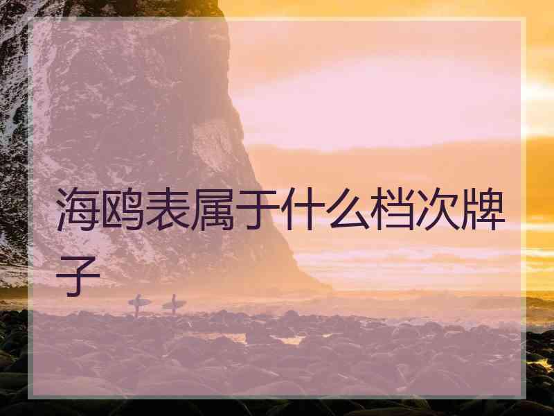 海鸥表属于什么档次牌子