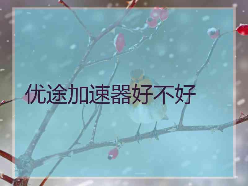 优途加速器好不好