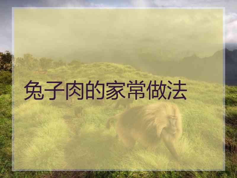 兔子肉的家常做法