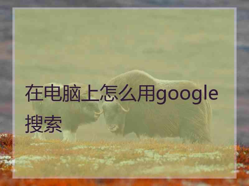 在电脑上怎么用google搜索