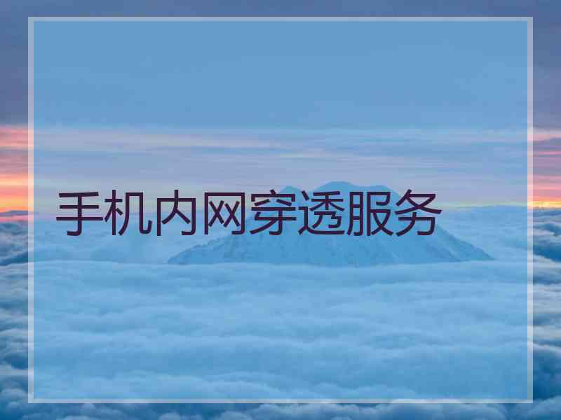 手机内网穿透服务