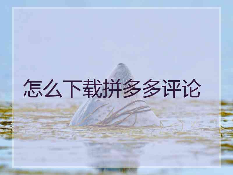 怎么下载拼多多评论
