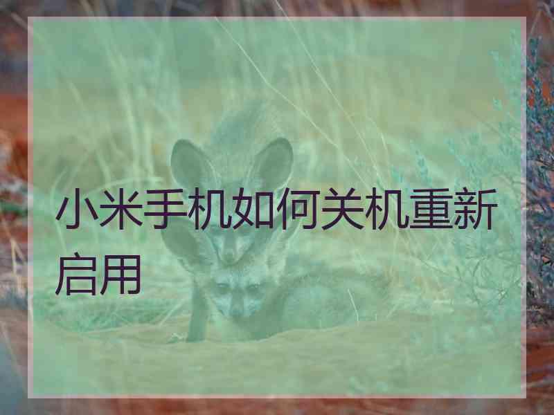 小米手机如何关机重新启用