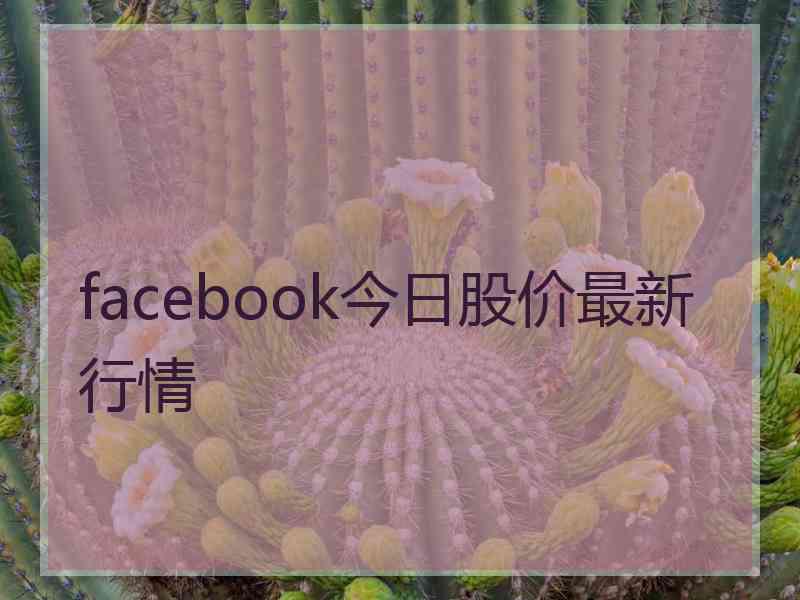 facebook今日股价最新行情