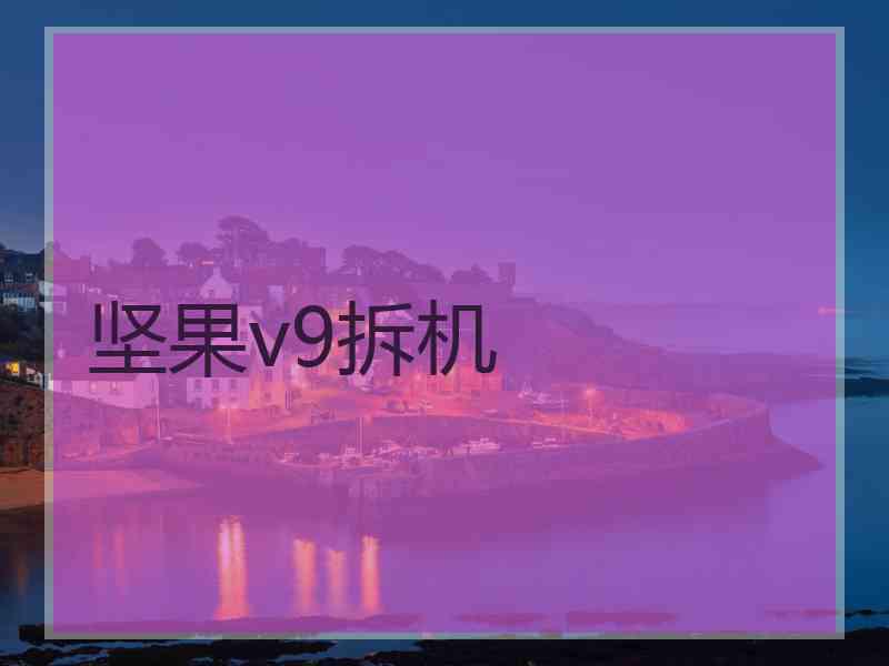 坚果v9拆机