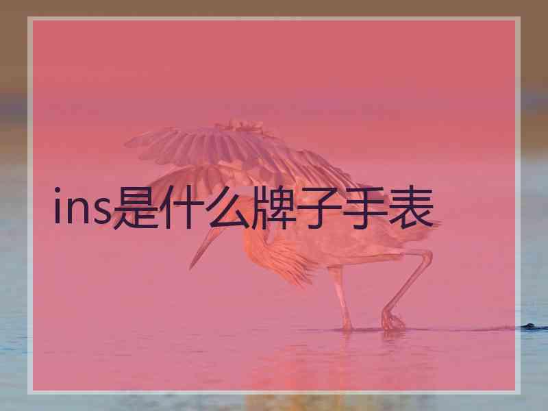 ins是什么牌子手表