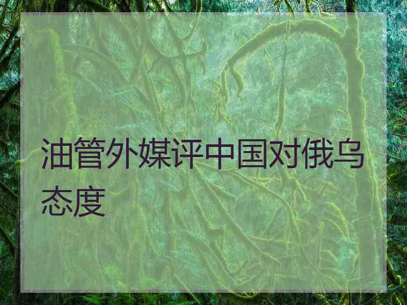 油管外媒评中国对俄乌态度