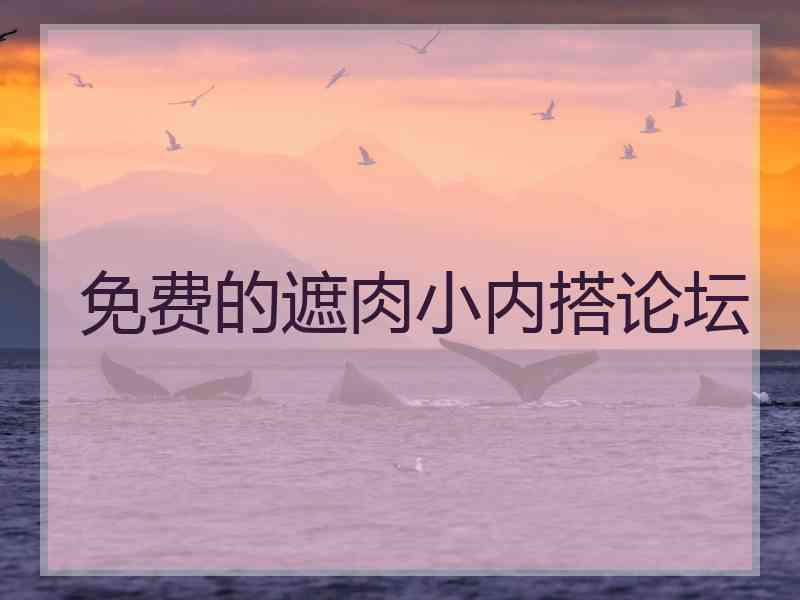 免费的遮肉小内搭论坛