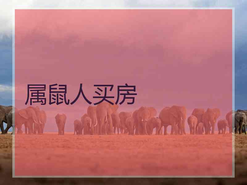 属鼠人买房