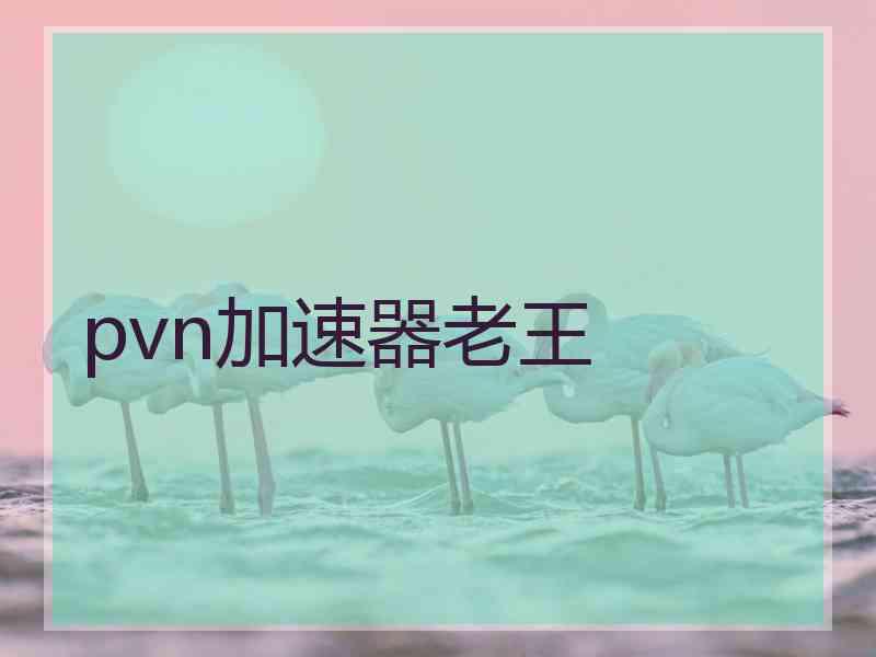 pvn加速器老王