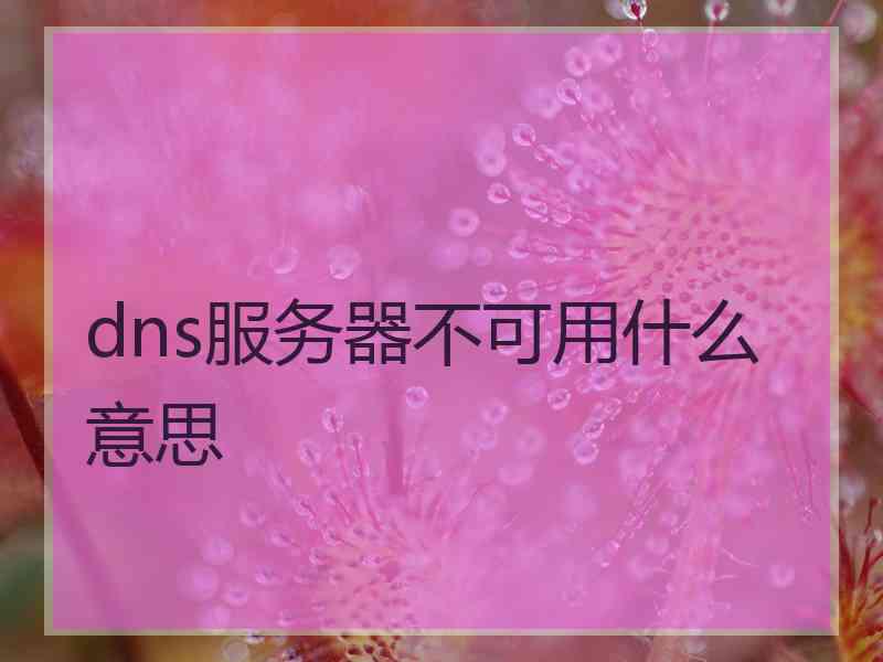 dns服务器不可用什么意思