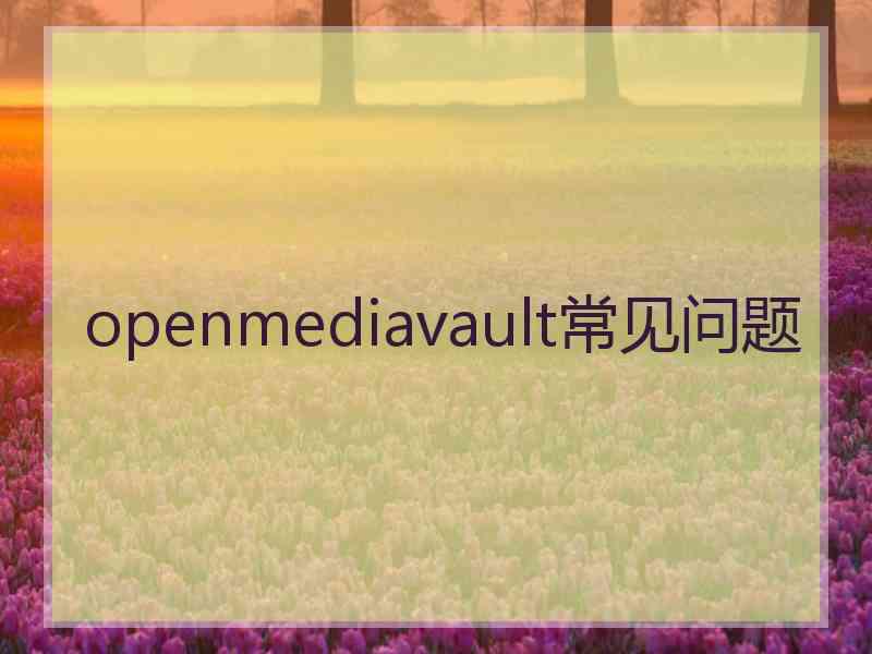 openmediavault常见问题