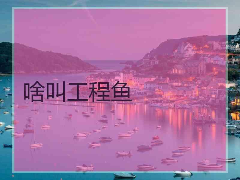 啥叫工程鱼