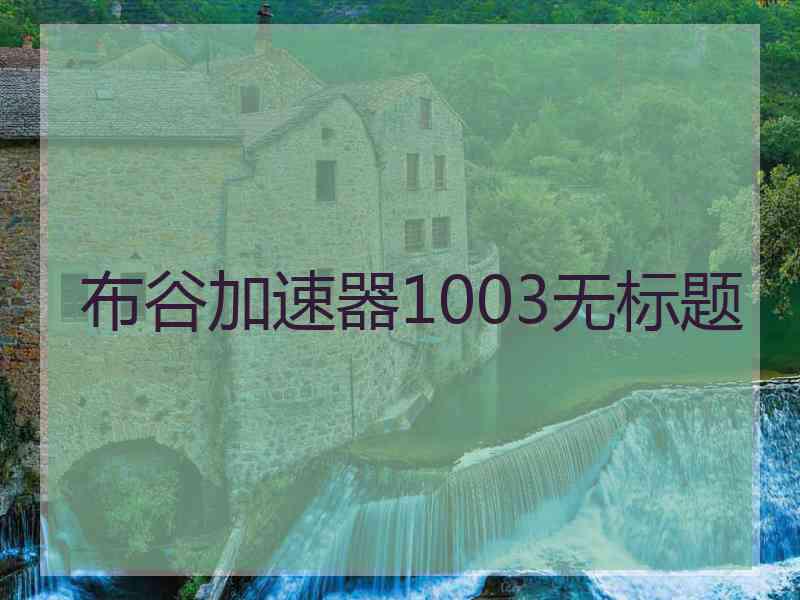 布谷加速器1003无标题