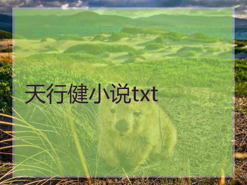 天行健小说txt