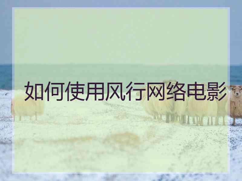 如何使用风行网络电影