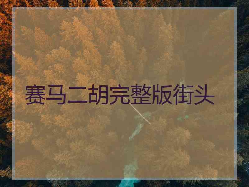 赛马二胡完整版街头